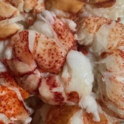 small-lobster-tail-meat-new