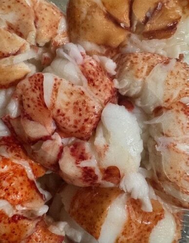 small-lobster-tail-meat-new small-lobster-tail-meat-new