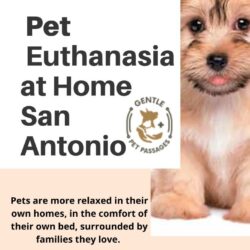 Pet Euthanasia at Home San Antonio - Gentle Pet Passages (1)