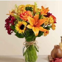 same-day flower delivery in Bristow, VA _11zon