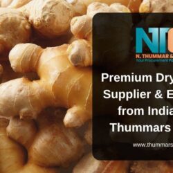Premium Dry Ginger Supplier & Exporter from India