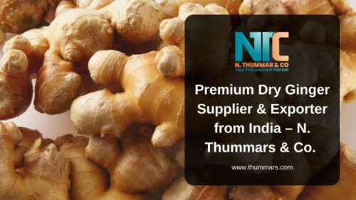 Premium Dry Ginger Supplier & Exporter from India Premium Dry Ginger Supplier & Exporter from India