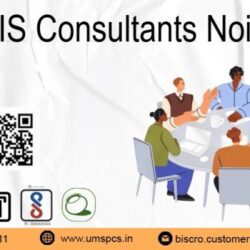 Bis Consultant Noida (1)