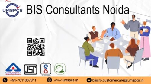 Bis Consultant Noida (1) Bis Consultant Noida (1)