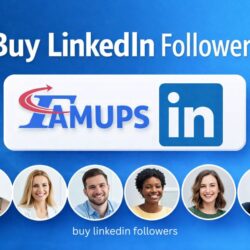 buy linkedin followers