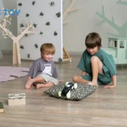 Top Stem Gifts for 7 Year Olds