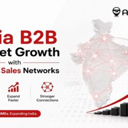 India B2B Market Growth with Verified Sales Networks