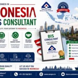 BIS consultancy services in Indonesia (1) (1)