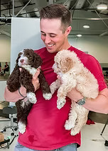 Trust the Dedicated Professionals at HeartRock Labradoodles GALA Registered Labradoodle Breeders Trust the Dedicated Professionals at HeartRock Labradoodles GALA Registered Labradoodle Breeders