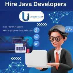 Hire Java Developers (1)