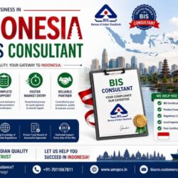 BIS consultancy services in Indonesia (1)