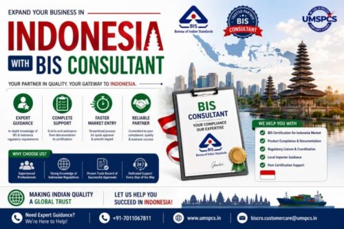 BIS consultancy services in Indonesia (1) BIS consultancy services in Indonesia (1)