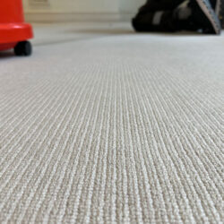 Carpet