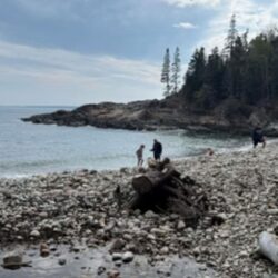 Walkntourslogo BLOG1