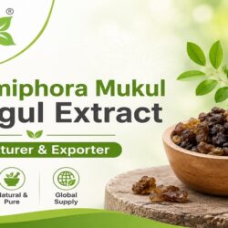 Commiphora Mukul Guggul Extract Manufacturer & Exporter