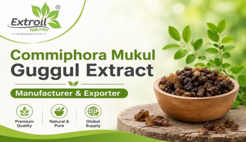 Commiphora Mukul Guggul Extract Manufacturer & Exporter Commiphora Mukul Guggul Extract Manufacturer & Exporter