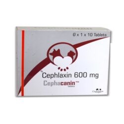 Cephalexin 600mg (1)