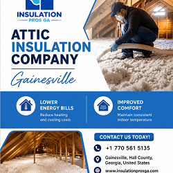 Attic insulation company Gainesville 1