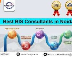 Bis Consultant Noida (2)