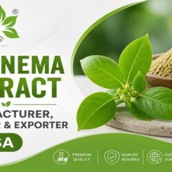 Gymnema Extract Manufacturer, Supplier & Exporter USA
