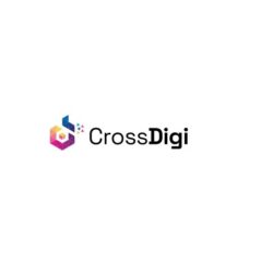 CrossDigi_250x100