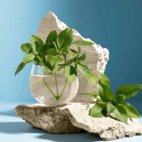 Pain-Relief Herbal Pain-Relief Herbal