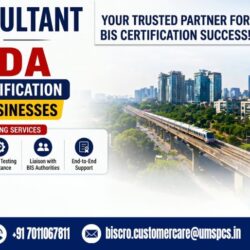 Bis Consultant In Noida