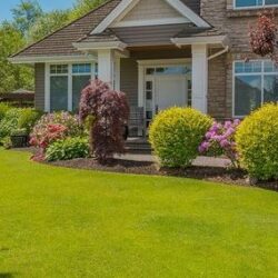 Landscaping Company in Everett
