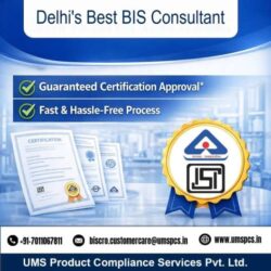 Delhi's Best Bis (2) (1) (1) (1)