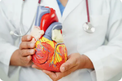 Homeopathic Treatment For Cardiovascular Disease