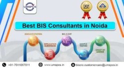 Bis Consultant Noida (2) (1)