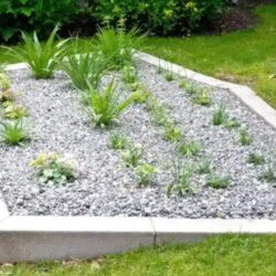Concrete Garden Edging Adelaide2