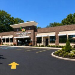 Professional Speech Therapy in Florissant MO