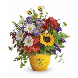 get-well flower delivery in Manassas