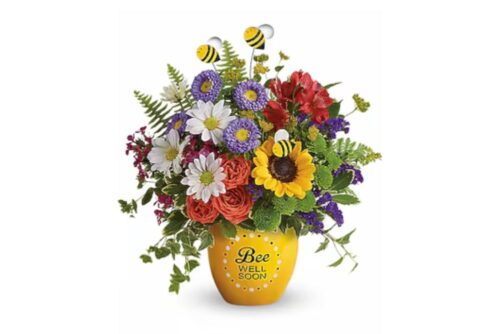 get-well flower delivery in Manassas get-well flower delivery in Manassas