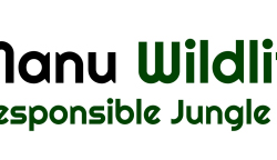 final_logo