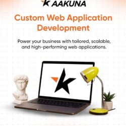 Custom Web Application Development Brisbane - AAKUNA