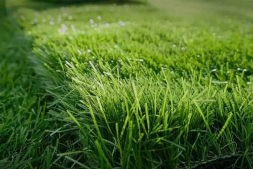 synthetic-cricket-pitch-3 synthetic-cricket-pitch-3