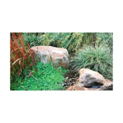 Actual Art Landscape Design