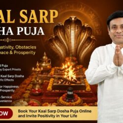Kaal Sarp Dosha Puja 1