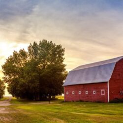 farm