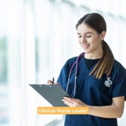 Clinical Nurse Leader (1)