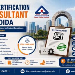 BIS Certification Consultant in Noida (2)