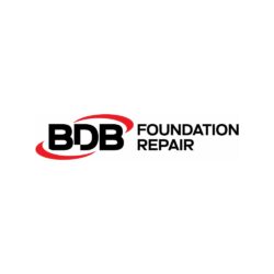 BDB Foundation Logo