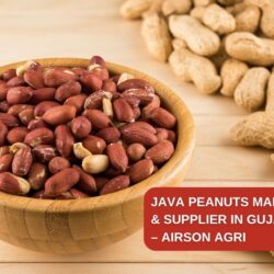 Java Peanuts Manufacturer & Supplier in Gujarat, India