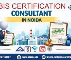 BIS Certification Conslutant Noida (1) (2)