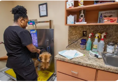 Animal Hospital Palm Beach County
