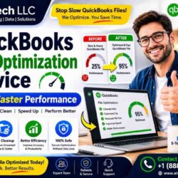 QuickBooks File Optimization Service for Faster Performance