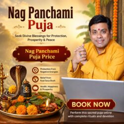 Nag Panchami Puja Price 1