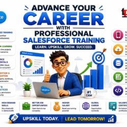Advance Your Career with Professional Salesforce Training
